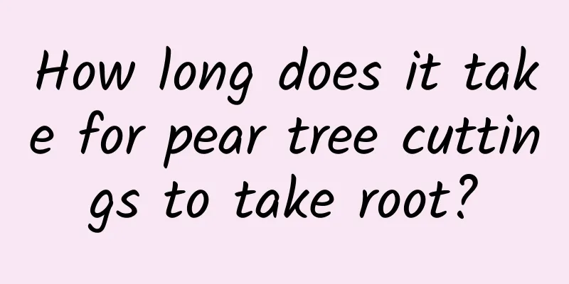 How long does it take for pear tree cuttings to take root?