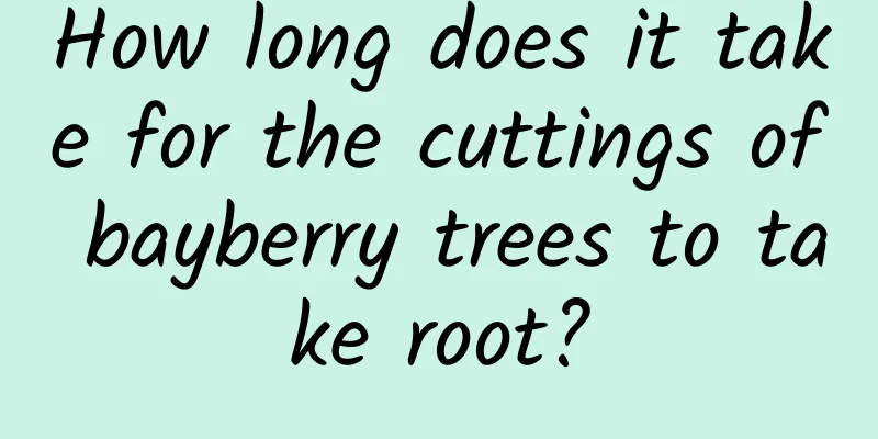 How long does it take for the cuttings of bayberry trees to take root?