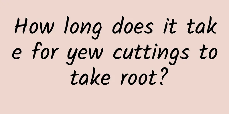 How long does it take for yew cuttings to take root?