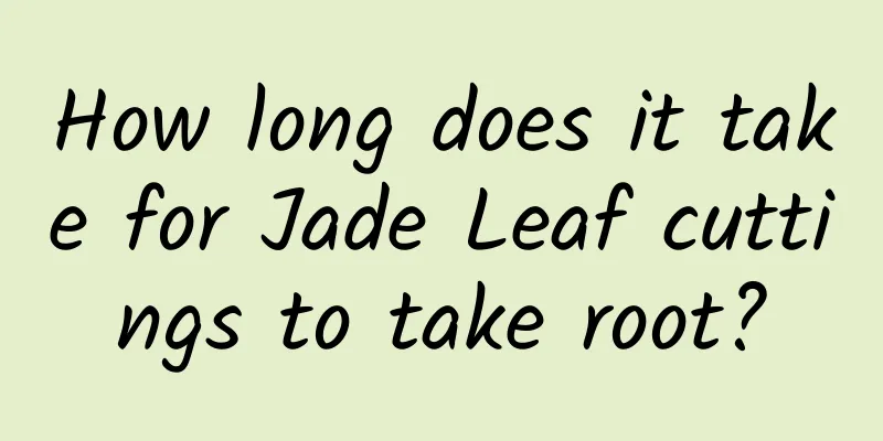 How long does it take for Jade Leaf cuttings to take root?
