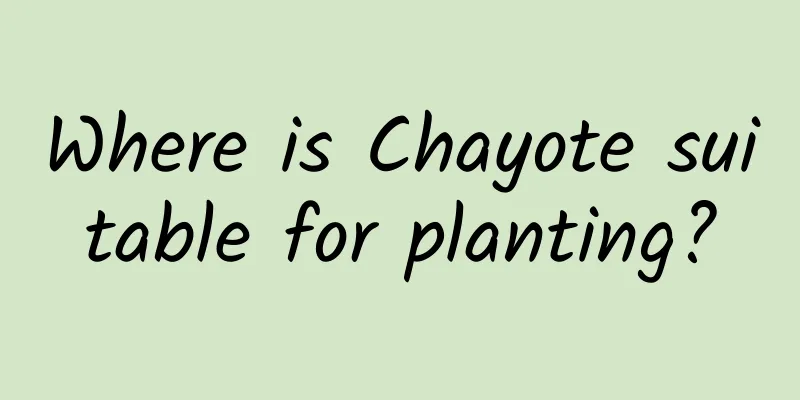 Where is Chayote suitable for planting?