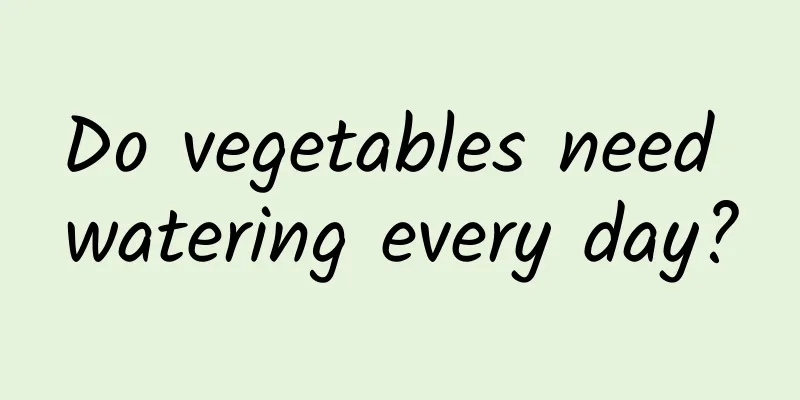 Do vegetables need watering every day?