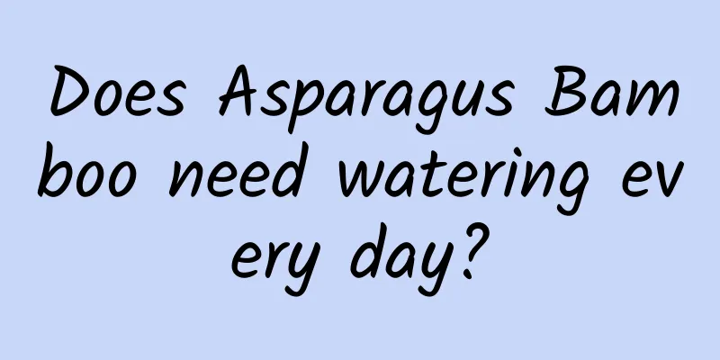 Does Asparagus Bamboo need watering every day?