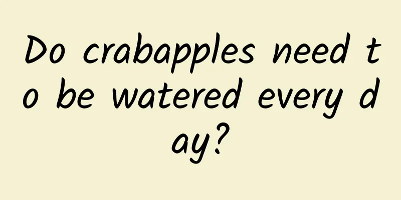 Do crabapples need to be watered every day?