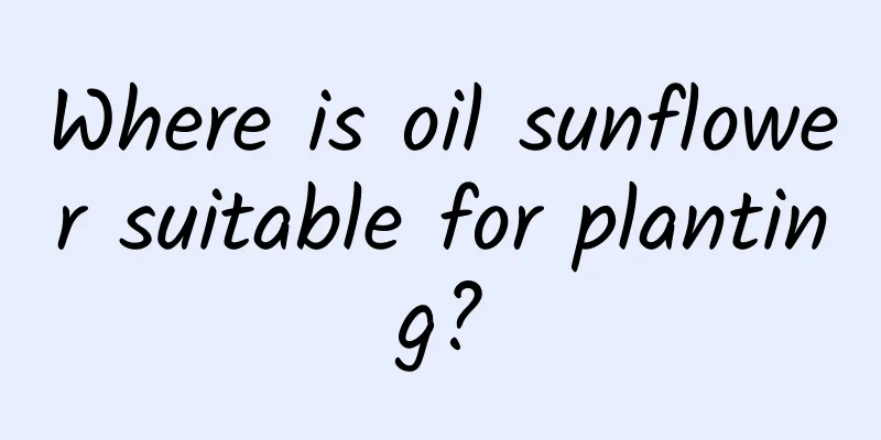 Where is oil sunflower suitable for planting?