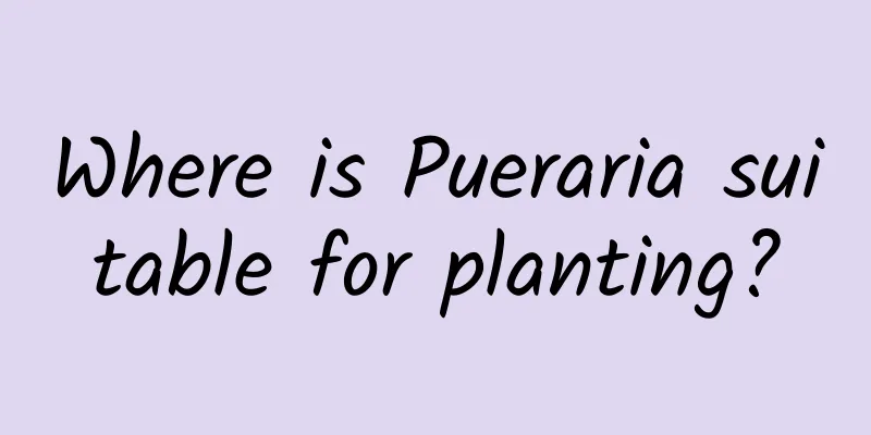 Where is Pueraria suitable for planting?