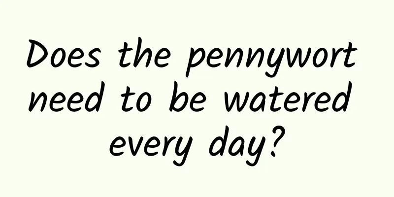 Does the pennywort need to be watered every day?