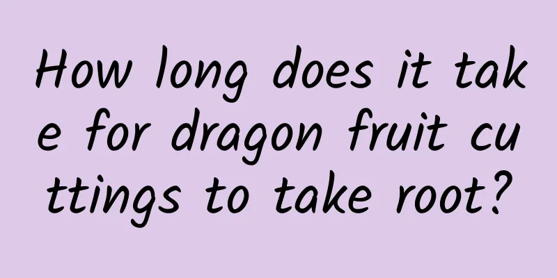 How long does it take for dragon fruit cuttings to take root?