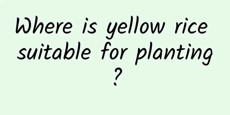 Where is yellow rice suitable for planting?