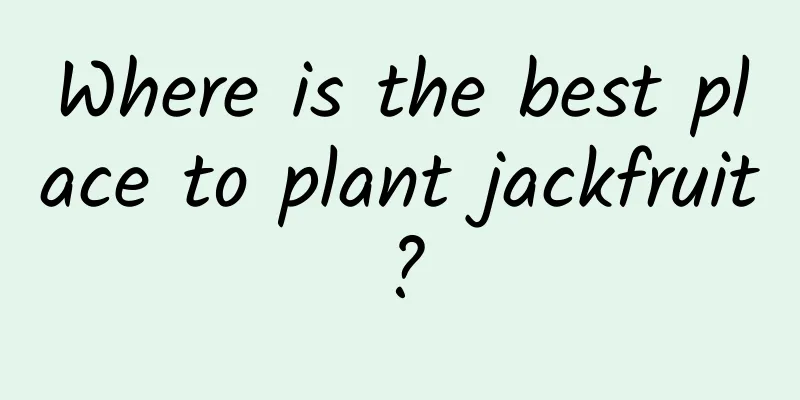 Where is the best place to plant jackfruit?