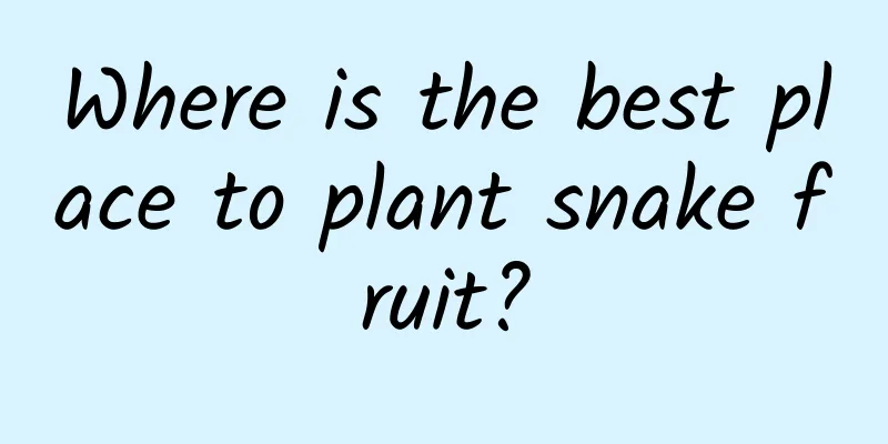 Where is the best place to plant snake fruit?
