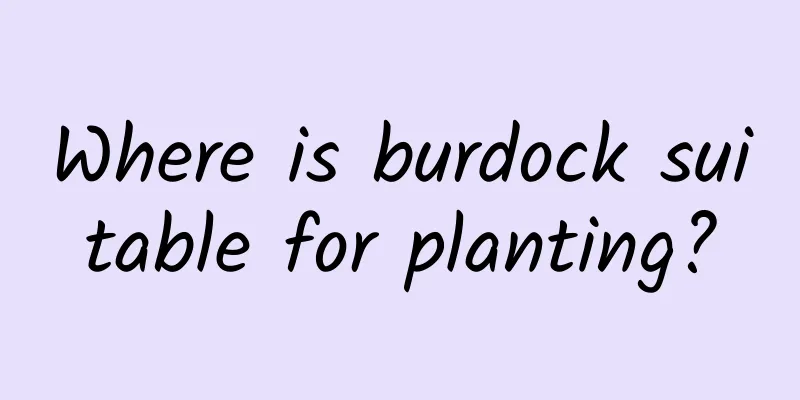 Where is burdock suitable for planting?