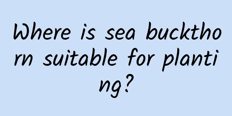 Where is sea buckthorn suitable for planting?