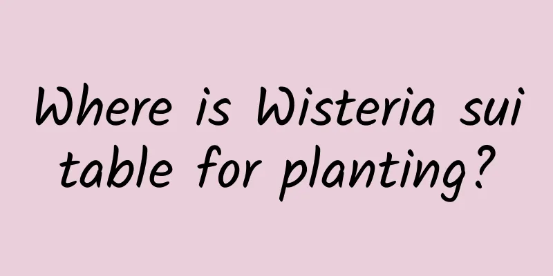Where is Wisteria suitable for planting?