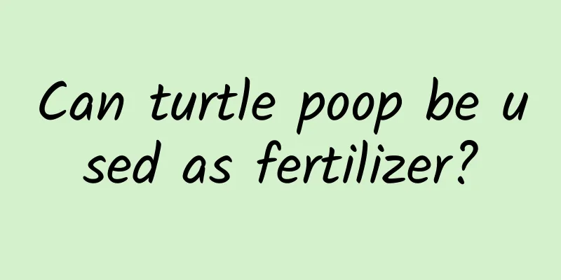 Can turtle poop be used as fertilizer?