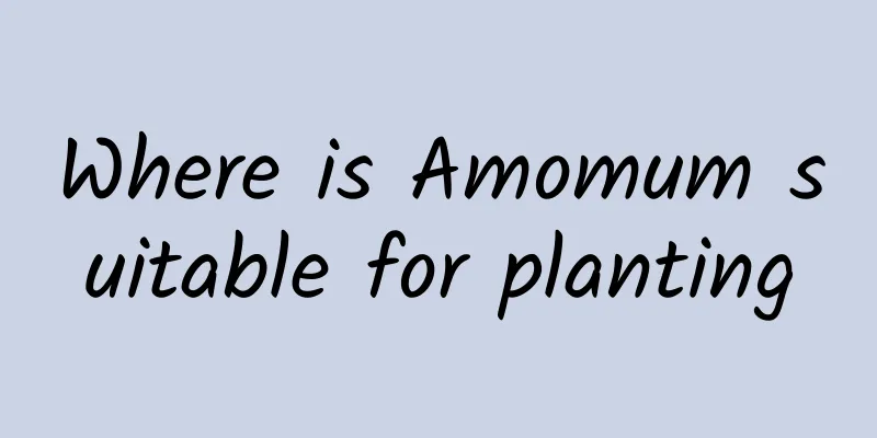 Where is Amomum suitable for planting