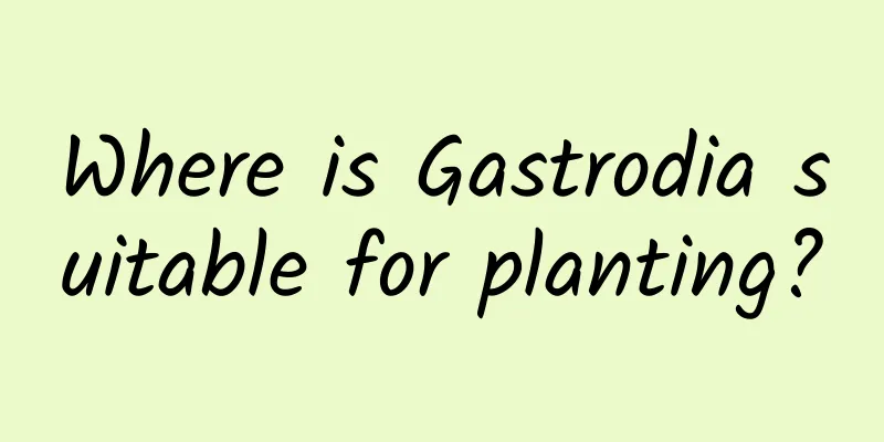 Where is Gastrodia suitable for planting?