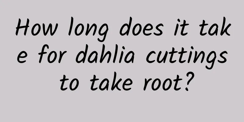 How long does it take for dahlia cuttings to take root?