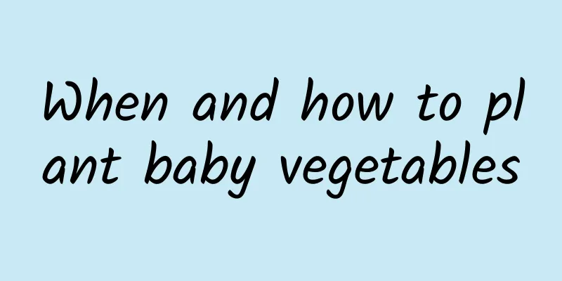 When and how to plant baby vegetables
