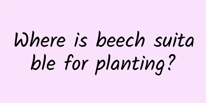 Where is beech suitable for planting?
