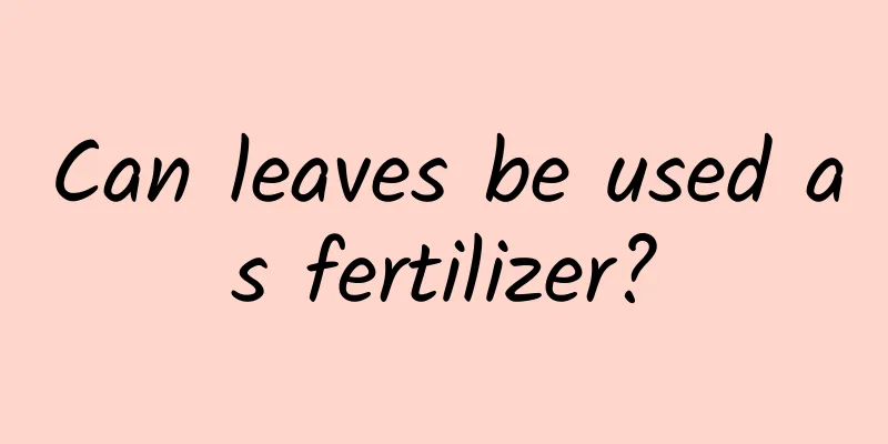 Can leaves be used as fertilizer?