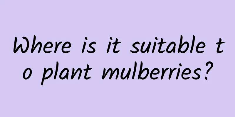 Where is it suitable to plant mulberries?