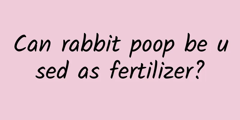 Can rabbit poop be used as fertilizer?
