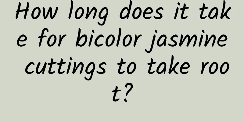 How long does it take for bicolor jasmine cuttings to take root?
