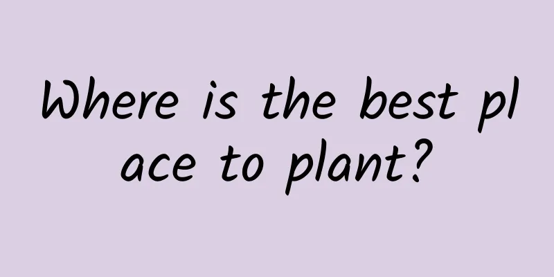 Where is the best place to plant?