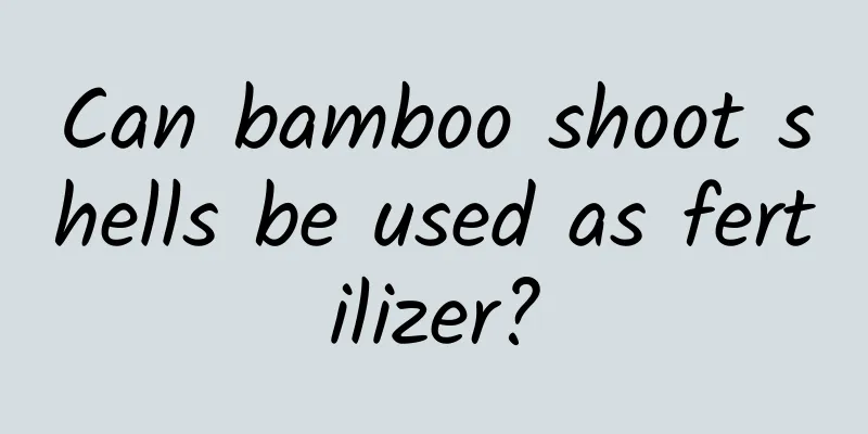 Can bamboo shoot shells be used as fertilizer?