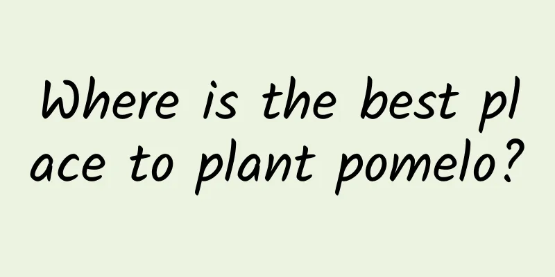 Where is the best place to plant pomelo?