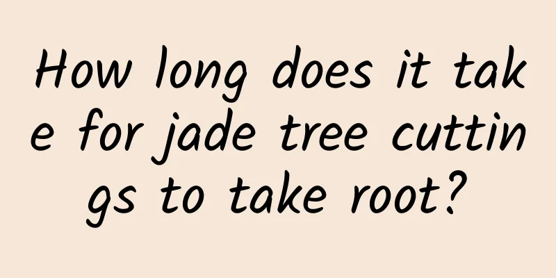 How long does it take for jade tree cuttings to take root?