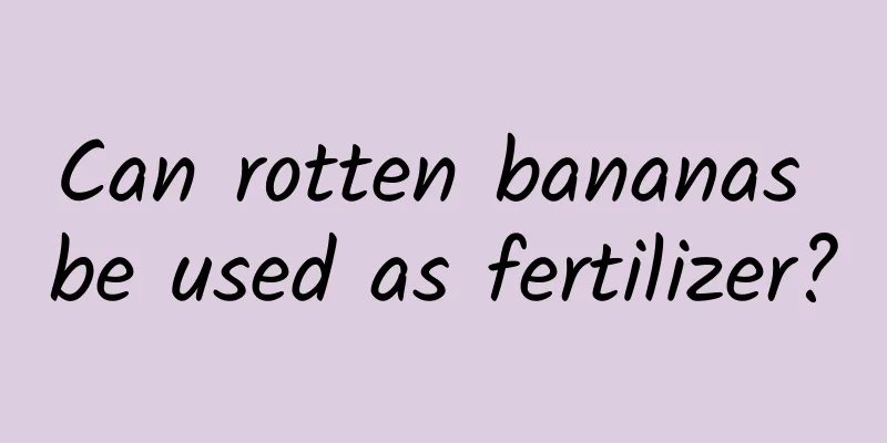 Can rotten bananas be used as fertilizer?