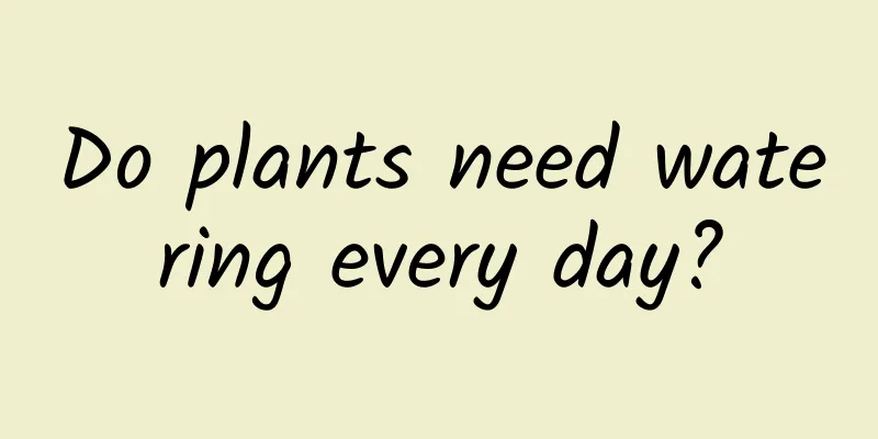 Do plants need watering every day?