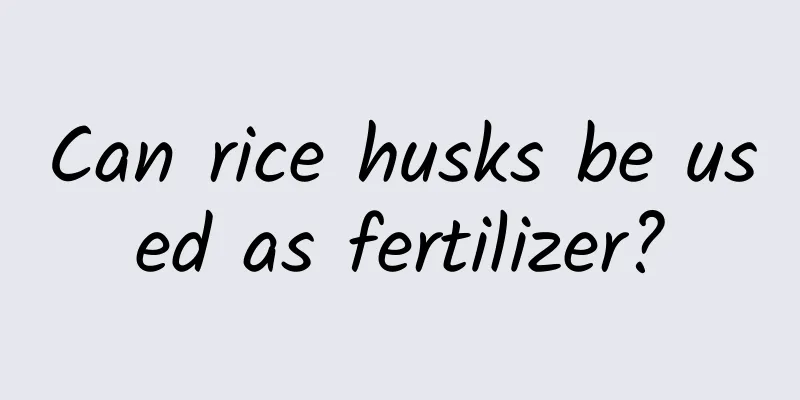 Can rice husks be used as fertilizer?