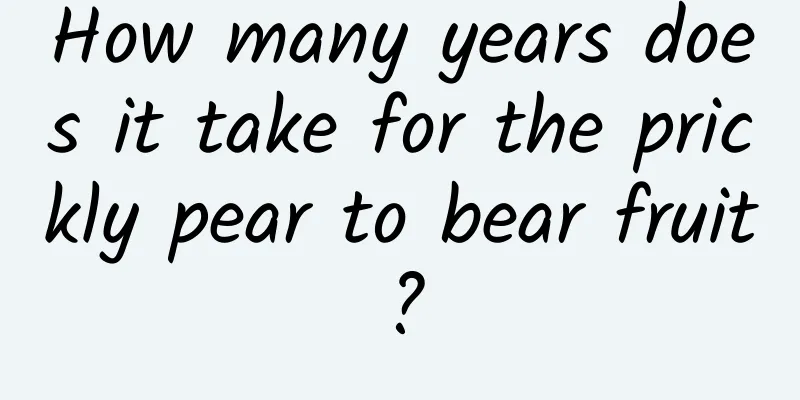 How many years does it take for the prickly pear to bear fruit?