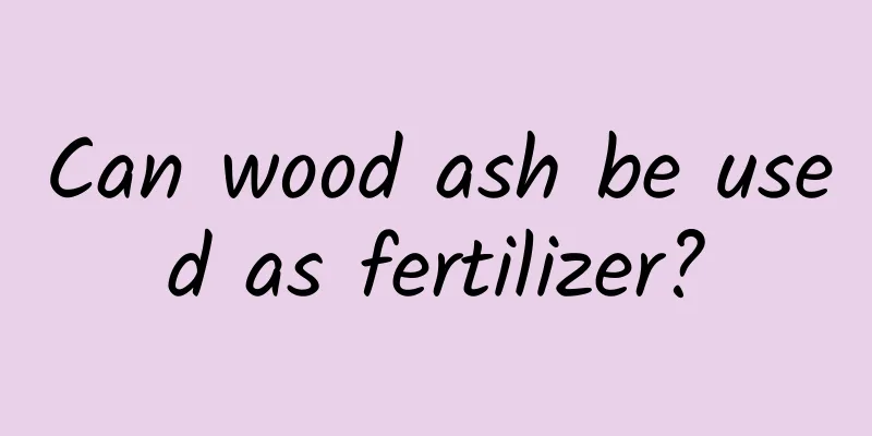 Can wood ash be used as fertilizer?