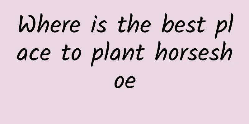 Where is the best place to plant horseshoe