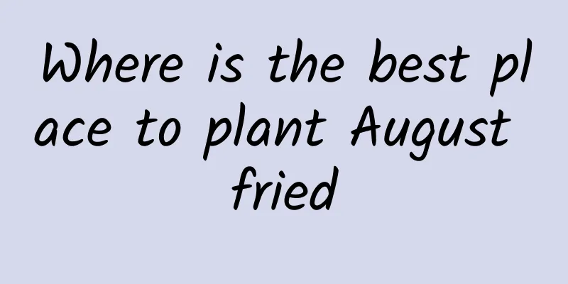 Where is the best place to plant August fried
