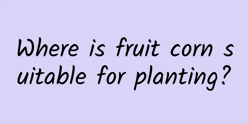 Where is fruit corn suitable for planting?