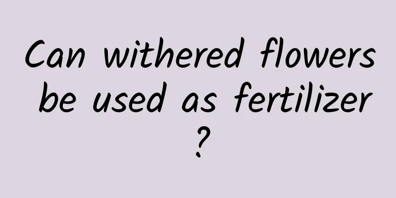 Can withered flowers be used as fertilizer?