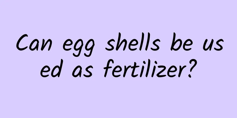 Can egg shells be used as fertilizer?