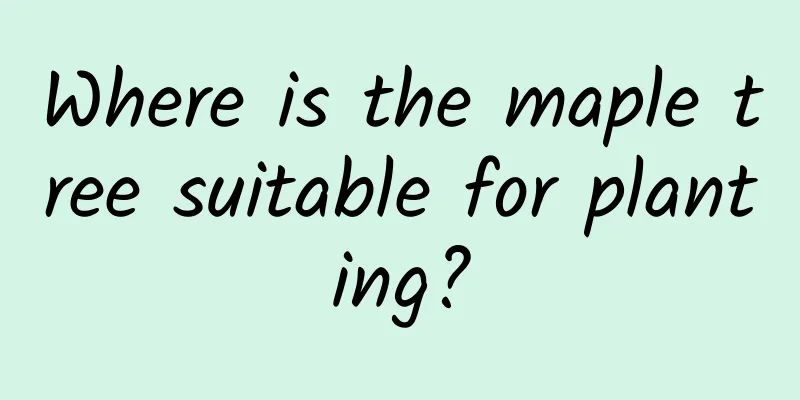 Where is the maple tree suitable for planting?