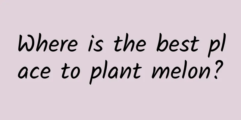 Where is the best place to plant melon?