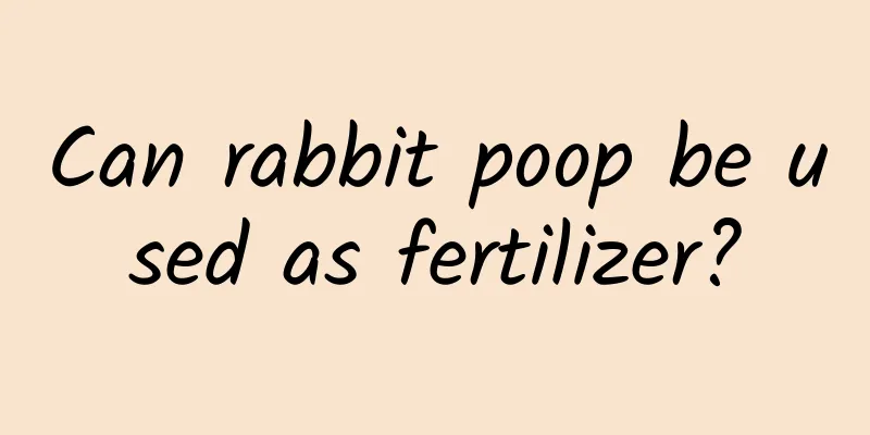Can rabbit poop be used as fertilizer?