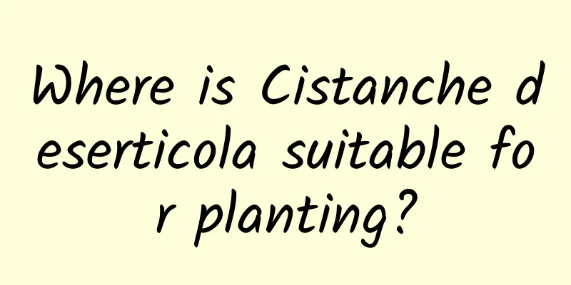 Where is Cistanche deserticola suitable for planting?