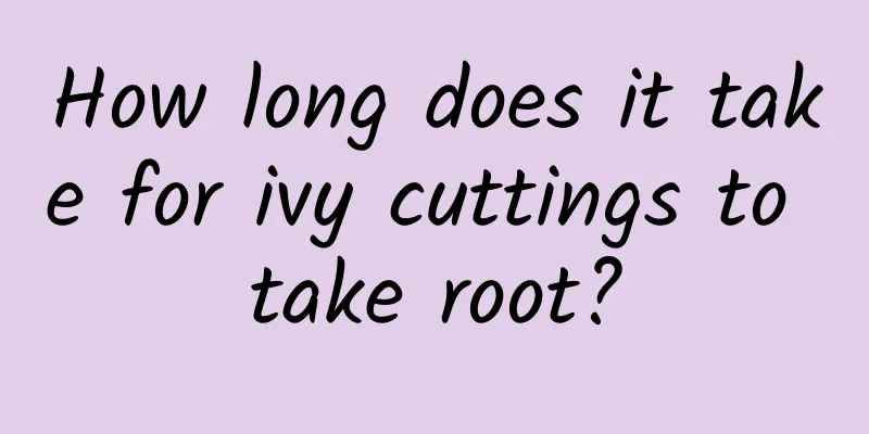 How long does it take for ivy cuttings to take root?