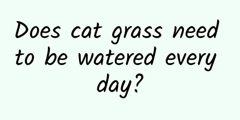 Does cat grass need to be watered every day?