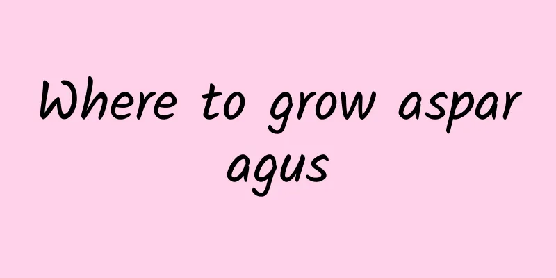 Where to grow asparagus