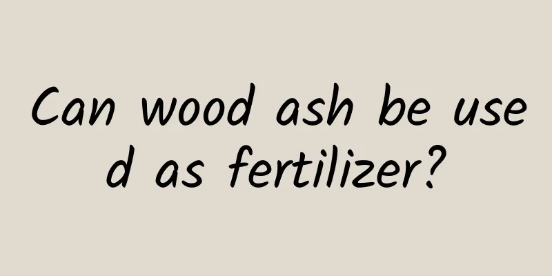 Can wood ash be used as fertilizer?